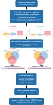 Integrated Gene Expression Profiling Analysis Reveals Potential Molecular Mechanisms and Candidate Biomarkers for Early Risk Stratification and Prediction of STEMI and Post-STEMI Heart Failure Patients